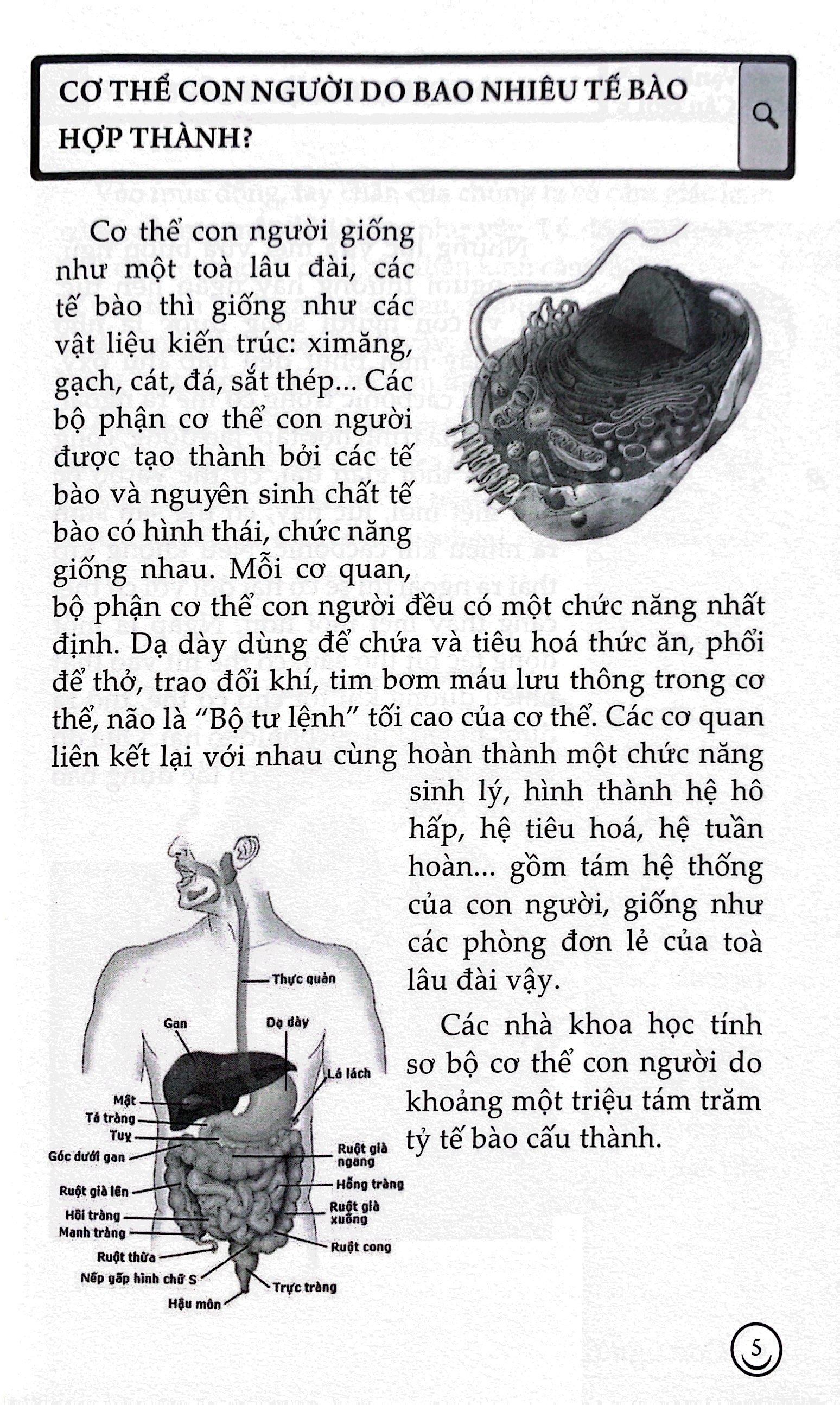 10 vạn câu hỏi vì sao? - con người (tái bản 2023) - Ảnh 4