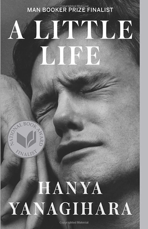 a little life - Ảnh 2
