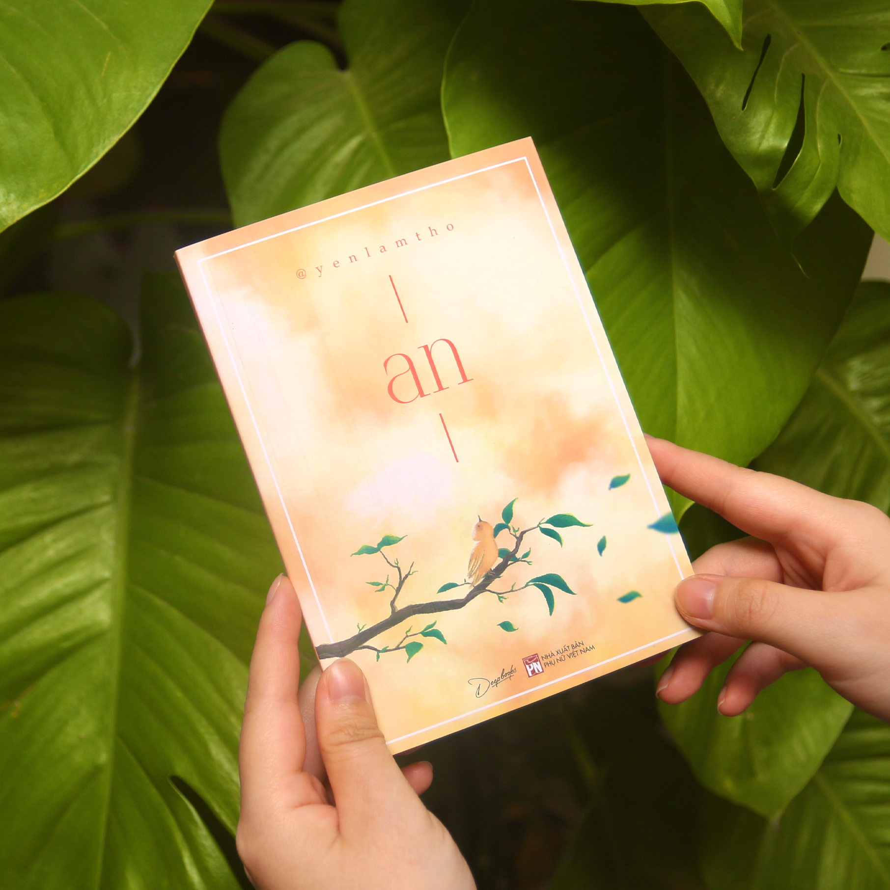 an - Ảnh 6