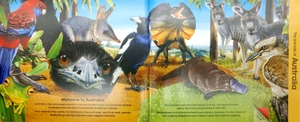 animals of the world - Ảnh 3