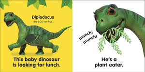 baby touch and feel: baby dinosaur - Ảnh 4