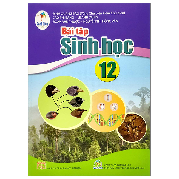 Bài Tập Tin Học 12 - Tin Học Ứng Dụng (Cánh Diều) (Chuẩn) - Ảnh 18