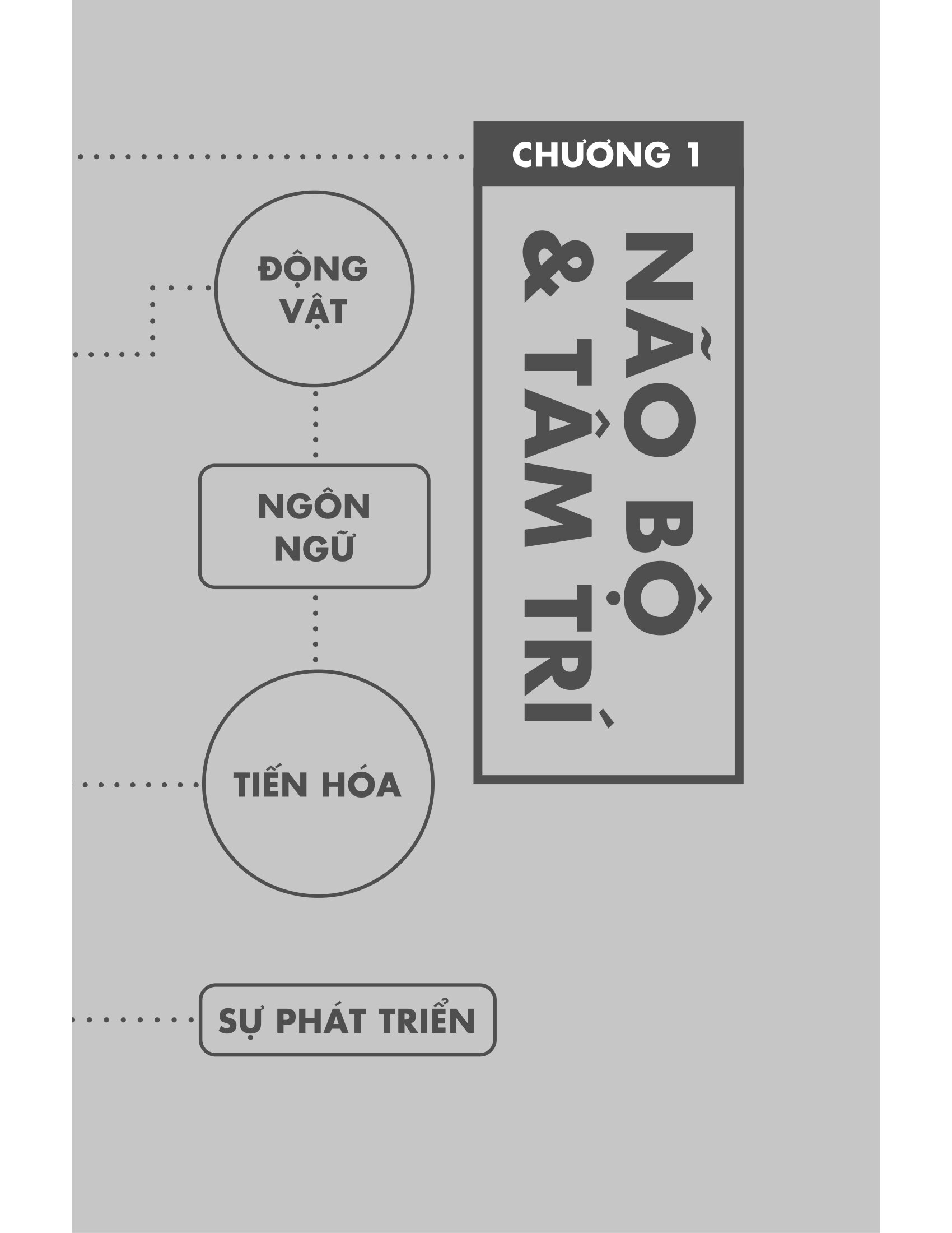 Bản Đồ Não Bộ - Từ Tế Bào Thần Kinh Đến Những Ý Tưởng Lớn - Ảnh 12