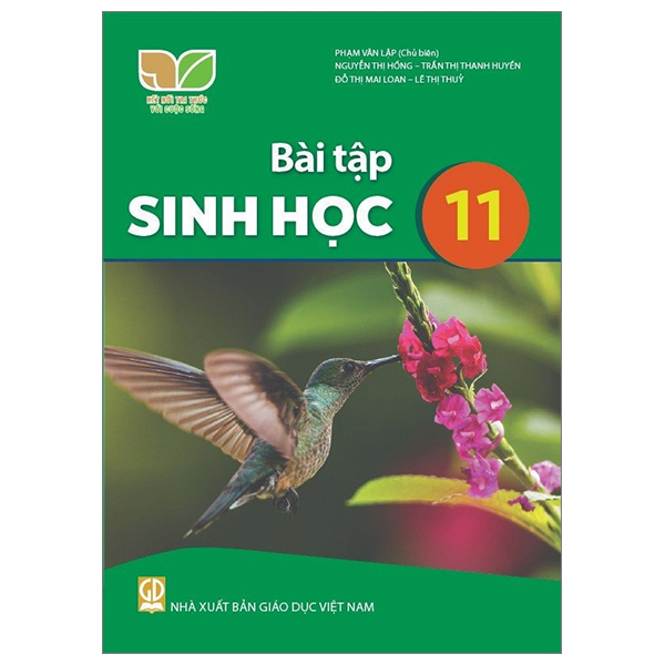 Bộ Bài Tập Ngữ Văn 11 - Tập 2 (Kết Nối) (Chuẩn) - Ảnh 26