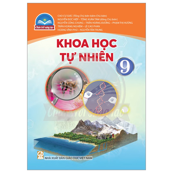 Bộ Bài Tập Toán 9 - Tập 2 (Chân Trời) (Chuẩn) - Ảnh 18