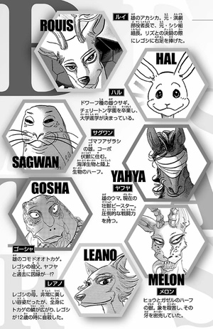 bộ beastars 17 - Ảnh 7