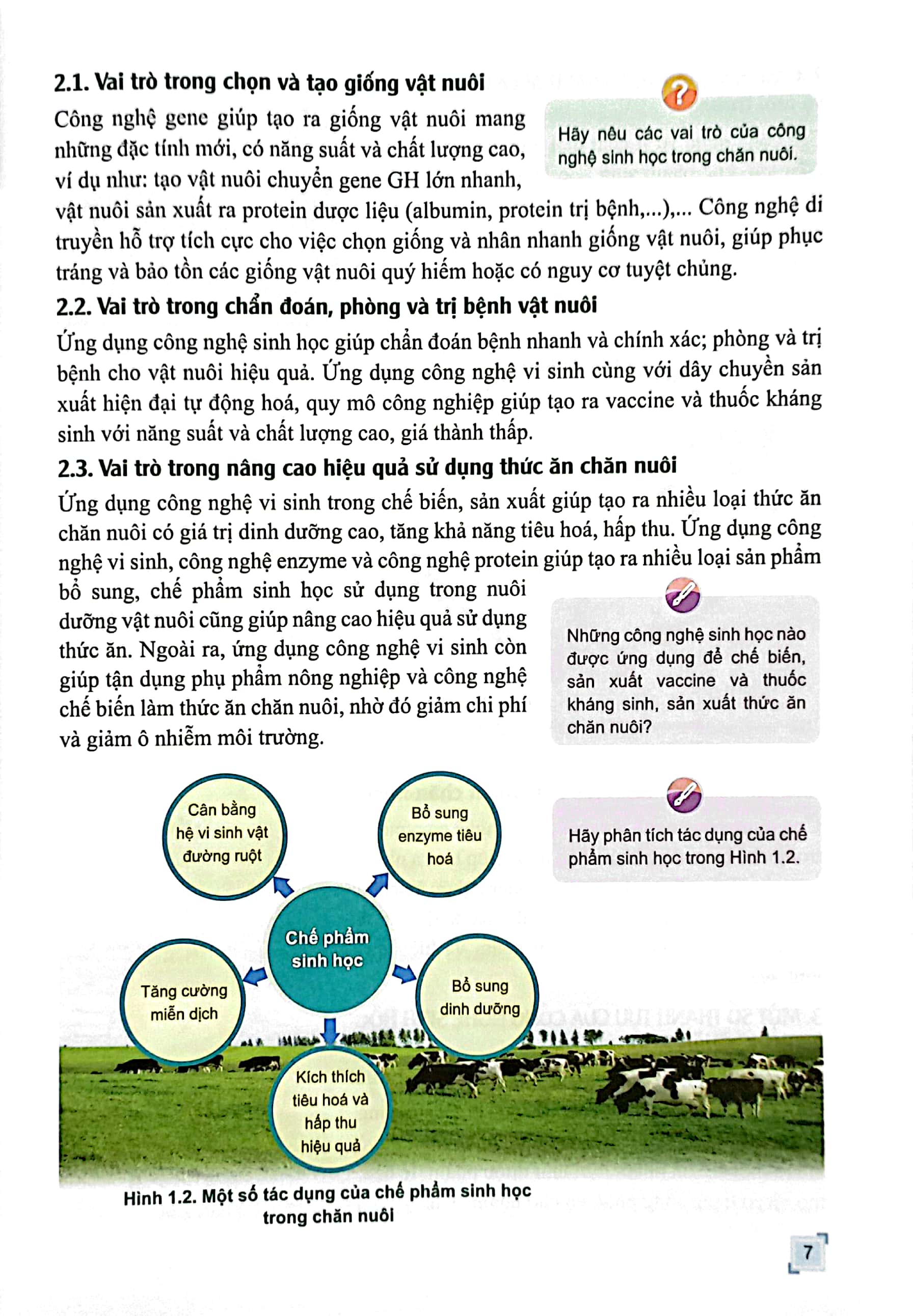 Bo
Chuyen De Hoc Tap Cong Nghe 11 - Cong Nghe Chan Nuoi (Canh Dieu) (Chuan) - Ảnh 5