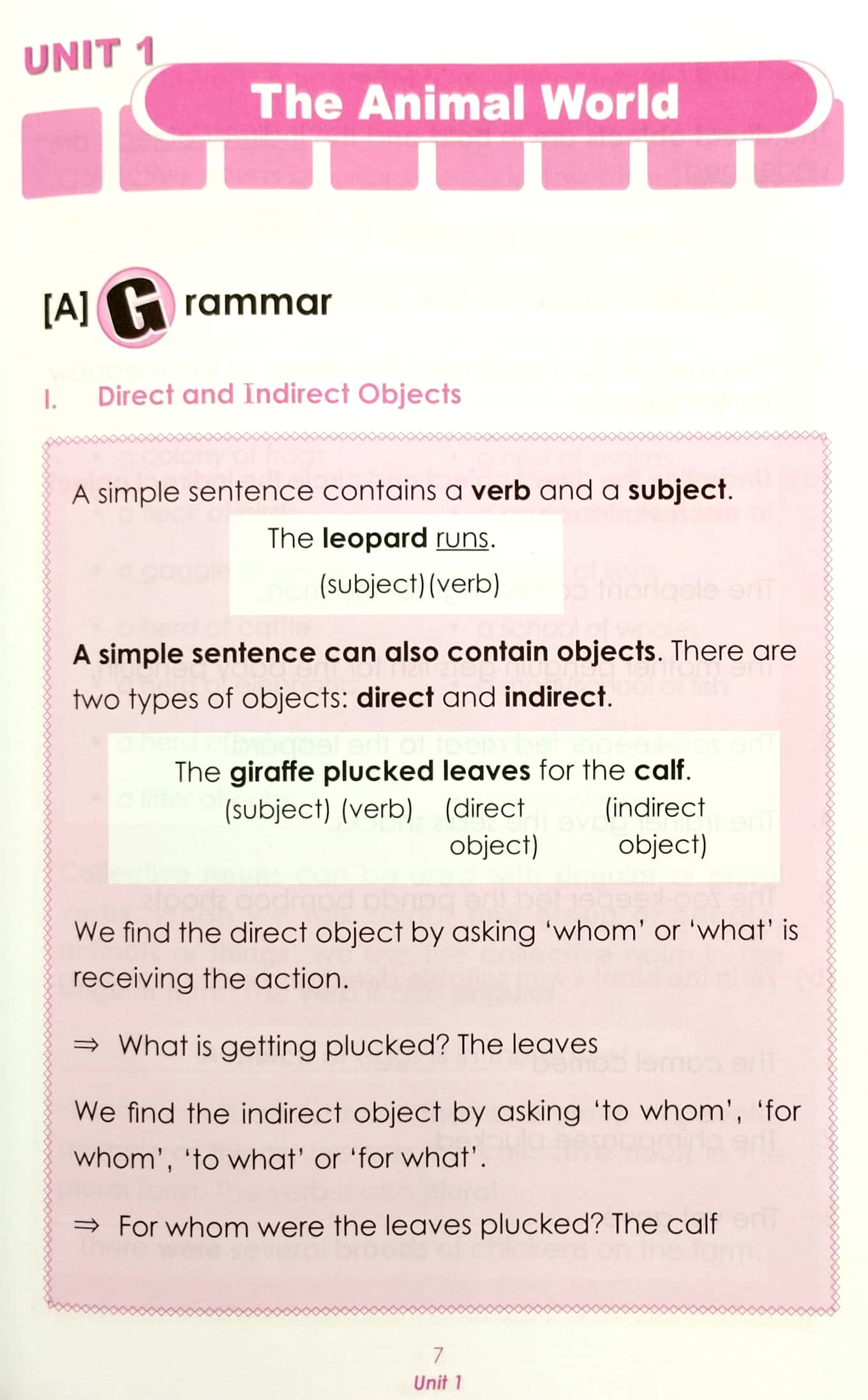 bộ learning english 4 - wordbook - Ảnh 5