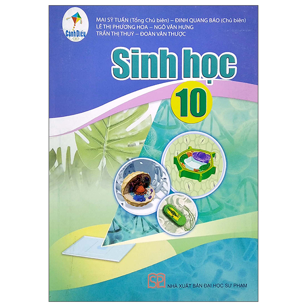 Bo
						
										
										Lich Su 10 (Canh Dieu) (Chuan) - Ảnh 12