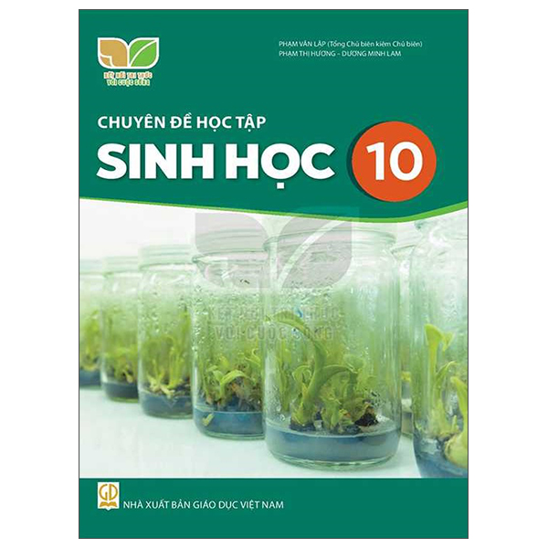Bộ Mĩ Thuật 10 - Thiết Kế Mĩ Thuật Sân Khấu, Điện Ảnh (Kết Nối Trí Thức) (Chuẩn) - Ảnh 7