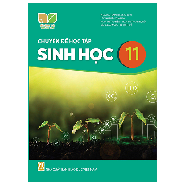 Bộ Mĩ Thuật 11 - Lí Luận Và Lịch Sử Mĩ Thuật (Kết Nối) (Chuẩn) - Ảnh 10
