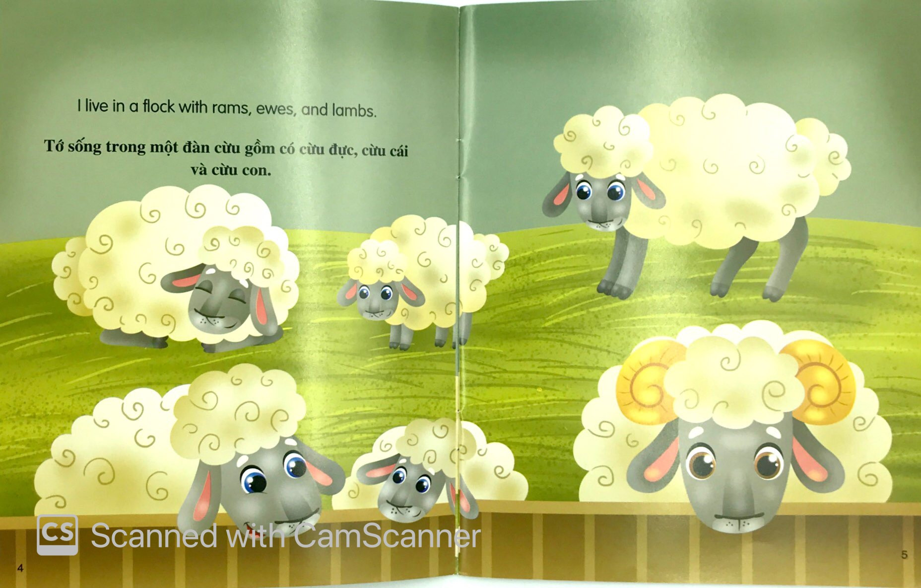 bộ sách những câu chuyện về thế giới loài vật 2 (bộ 6 cuốn) - Ảnh 4