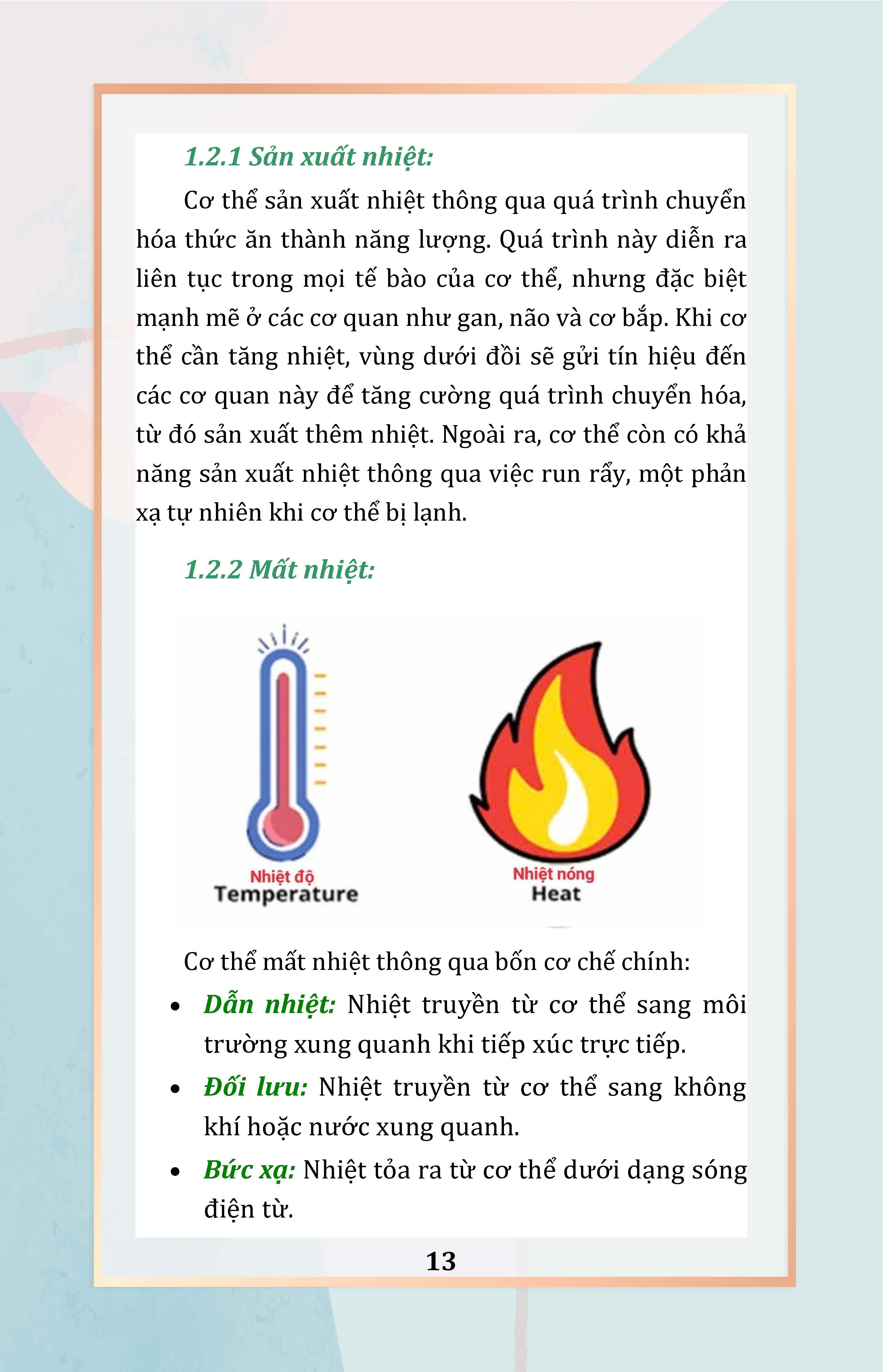 Bộ Thân Nhiệt - Năng Lượng Cốt Yếu Của Sự Sống - Ảnh 11