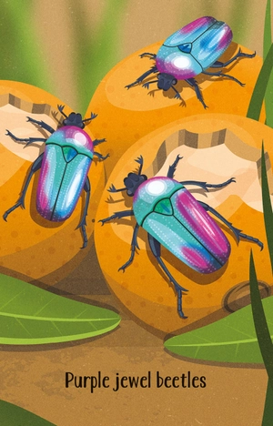 bugs snap - Ảnh 4