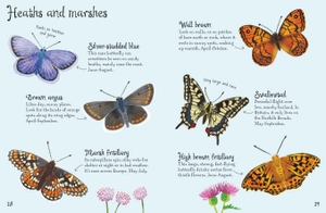butterflies to spot - Ảnh 5