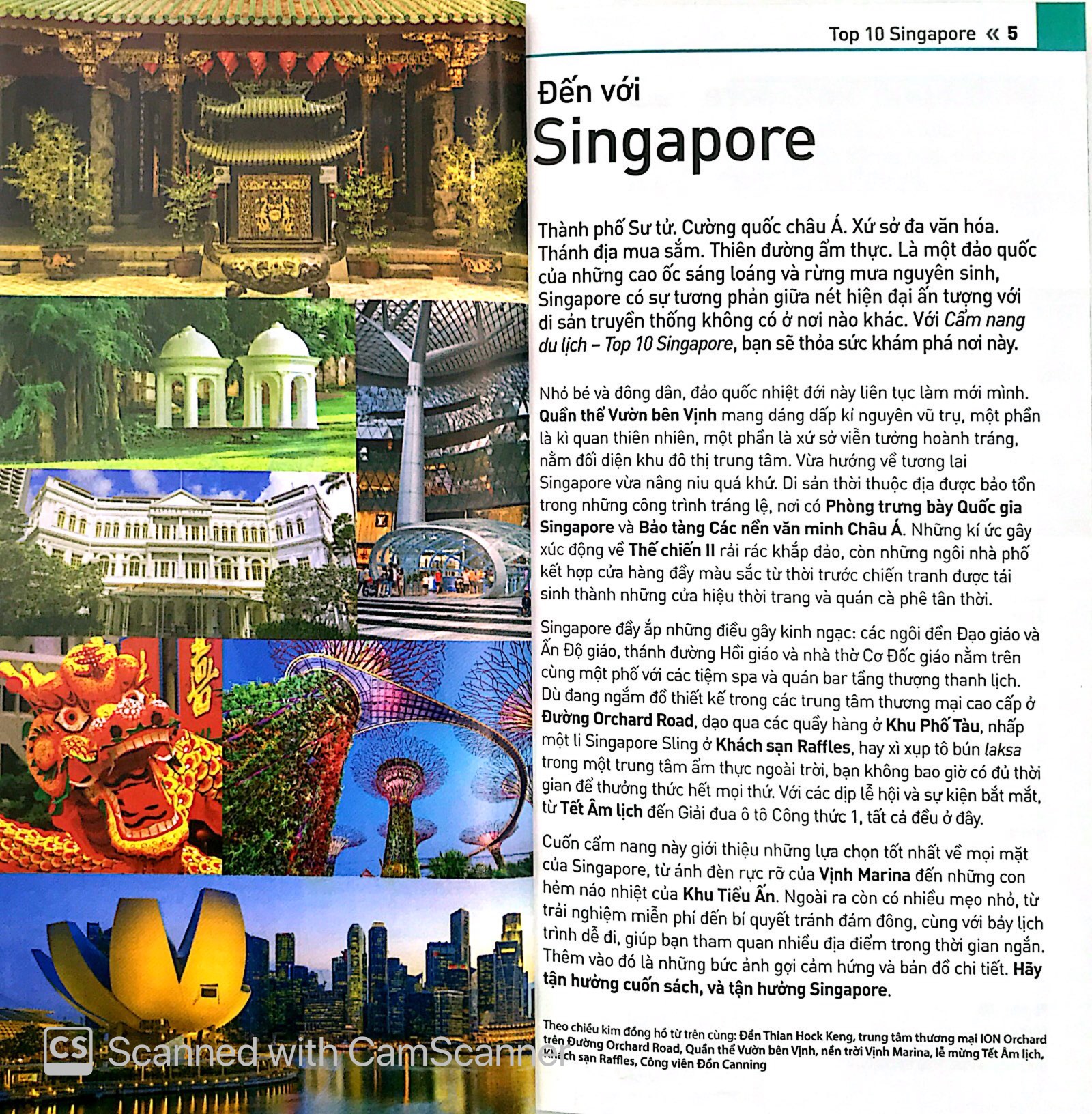 cẩm nang du lịch - top 10 singapore - Ảnh 3