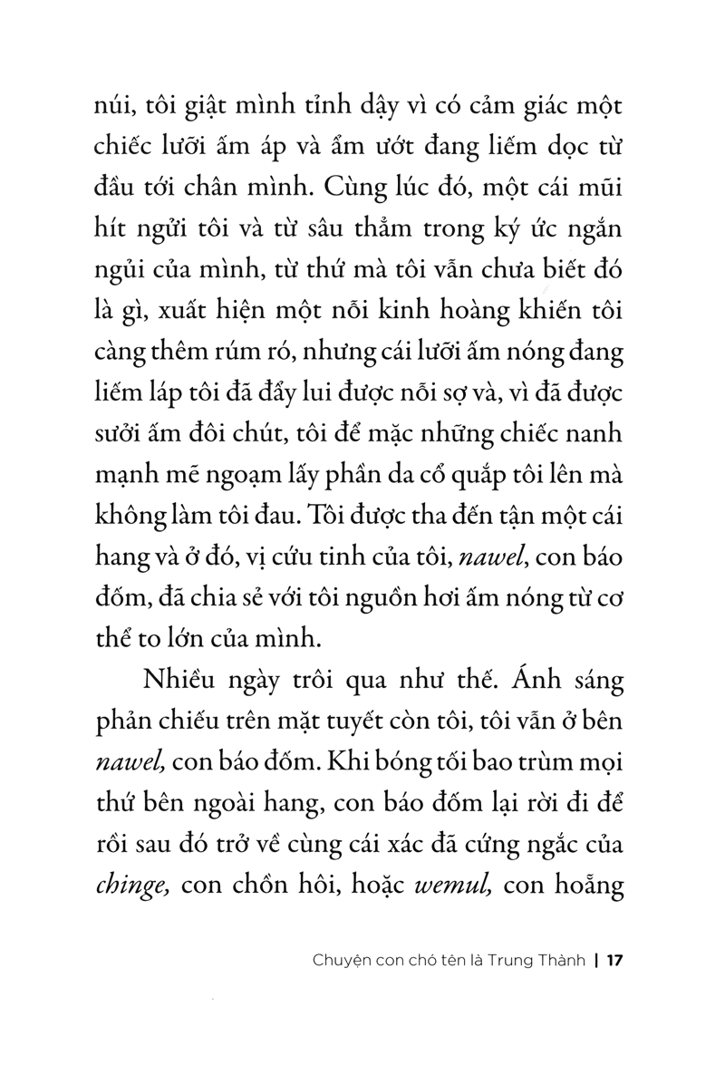 chuyện con chó tên là trung thành - Ảnh 11