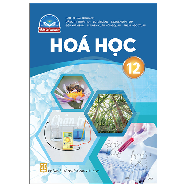 Chuyên Đề Học Tập Ngữ Văn 12 (Chân Trời) (Chuẩn) - Ảnh 28