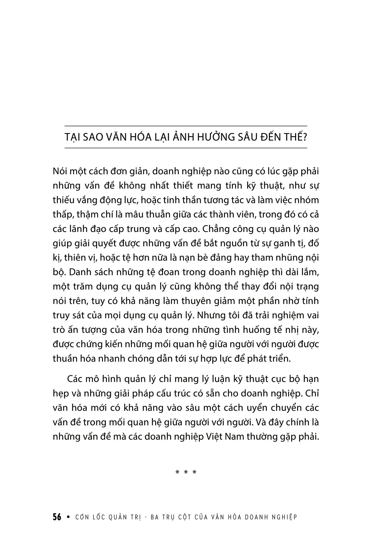 cơn lốc quản trị - ba trụ cột của văn hóa doanh nghiệp - Ảnh 10