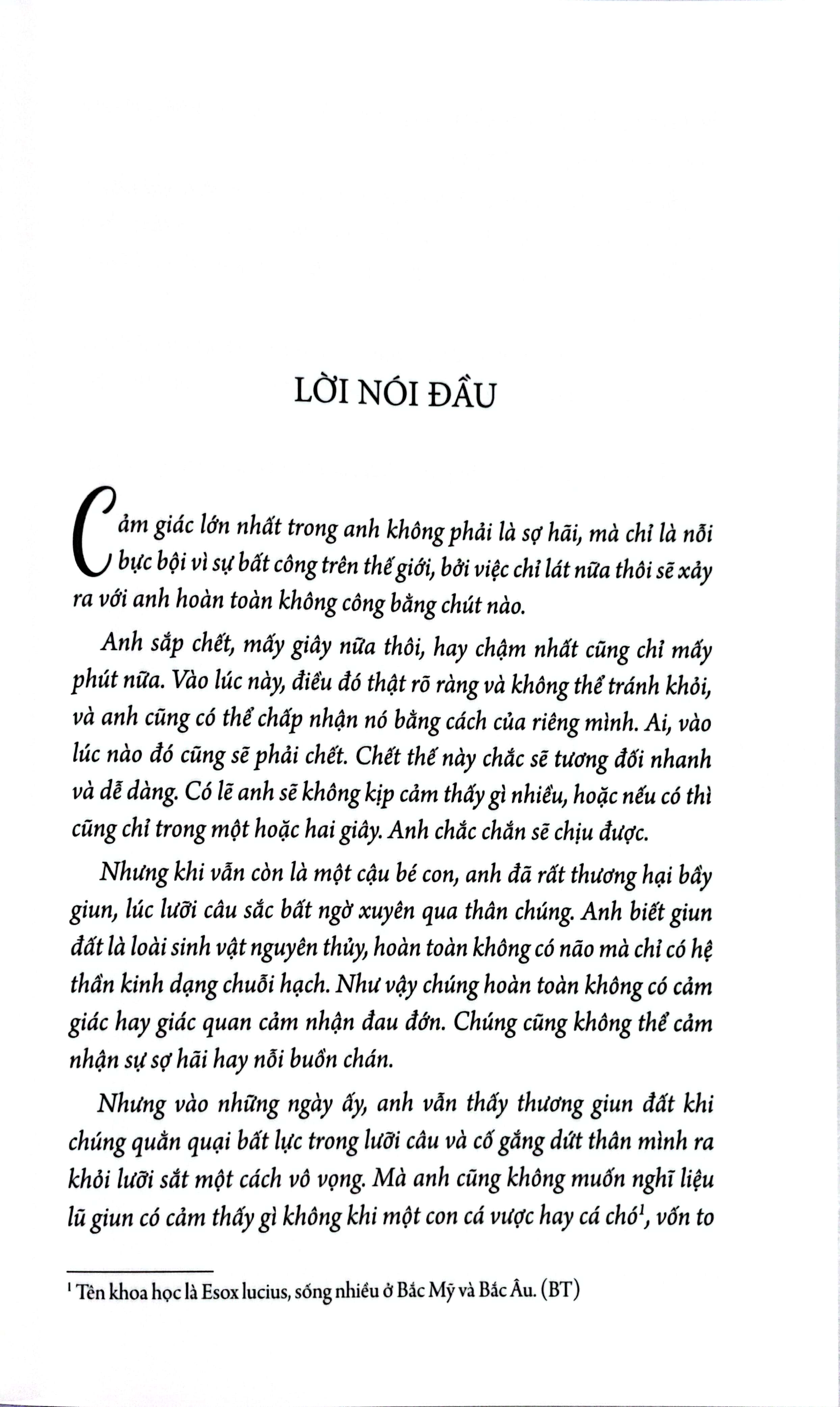con rít - Ảnh 4