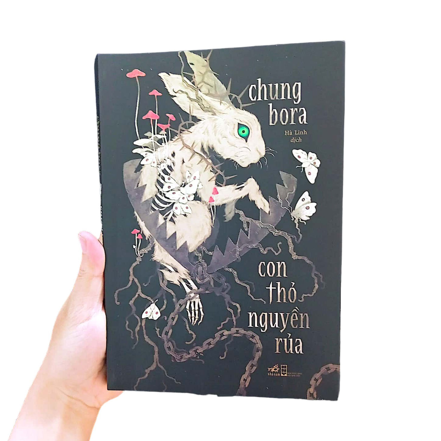 con thỏ nguyền rủa - Ảnh 10