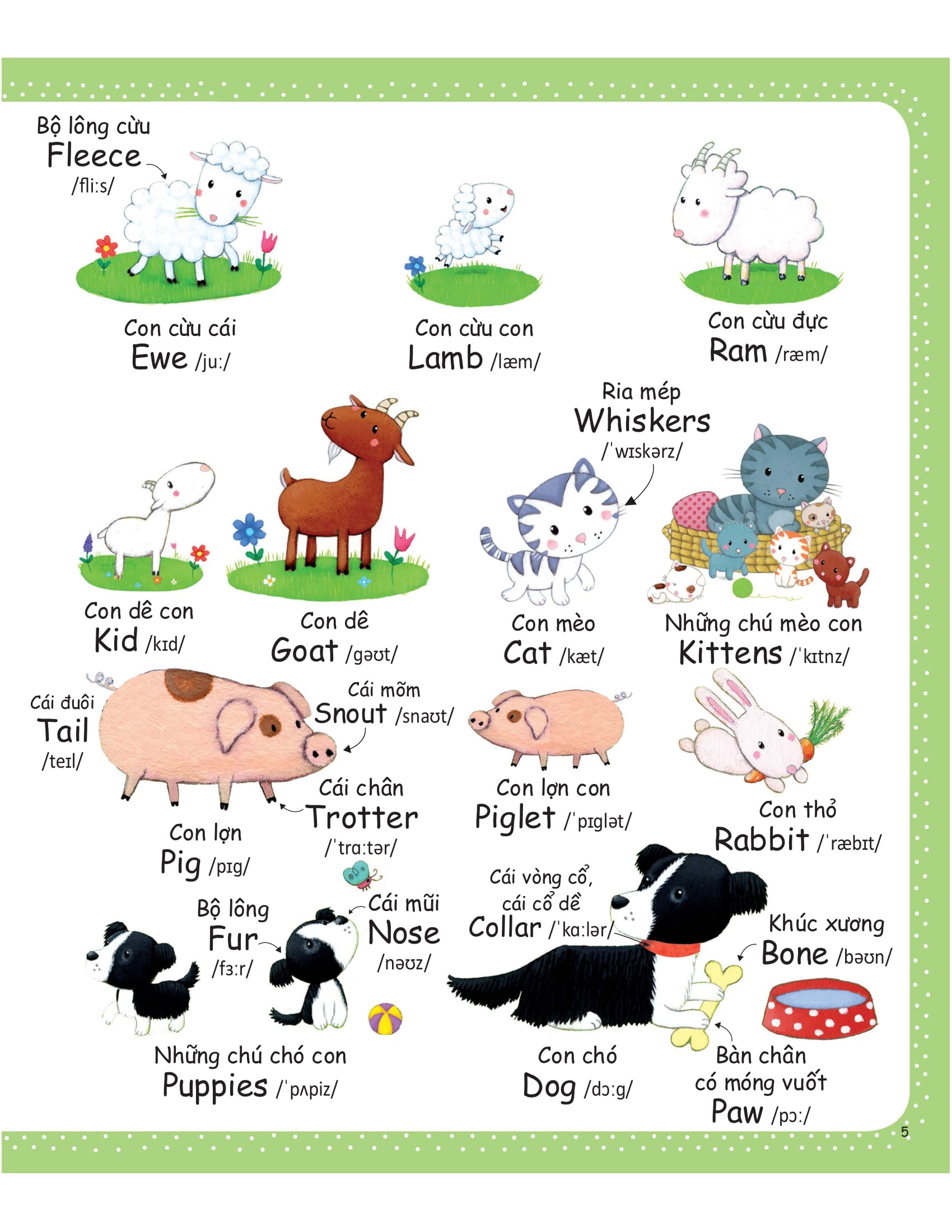 cuốn sách từ vựng đầu tiên của tôi - my first word book- nông trại - farm - Ảnh 3