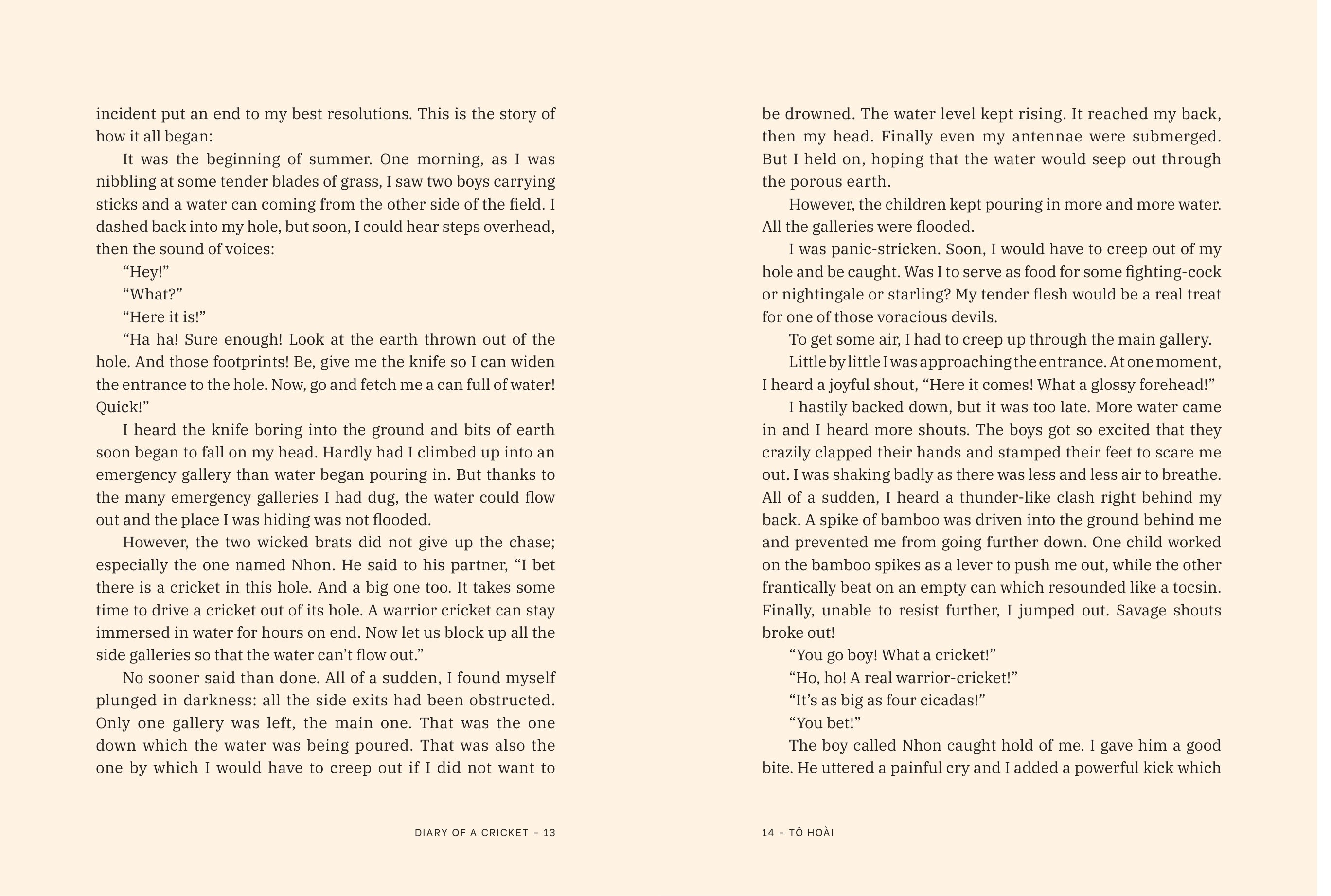 Diary Of A Cricket (Illustrations By Ngô Mạnh Lân) - Bìa Cứng - Ảnh 7