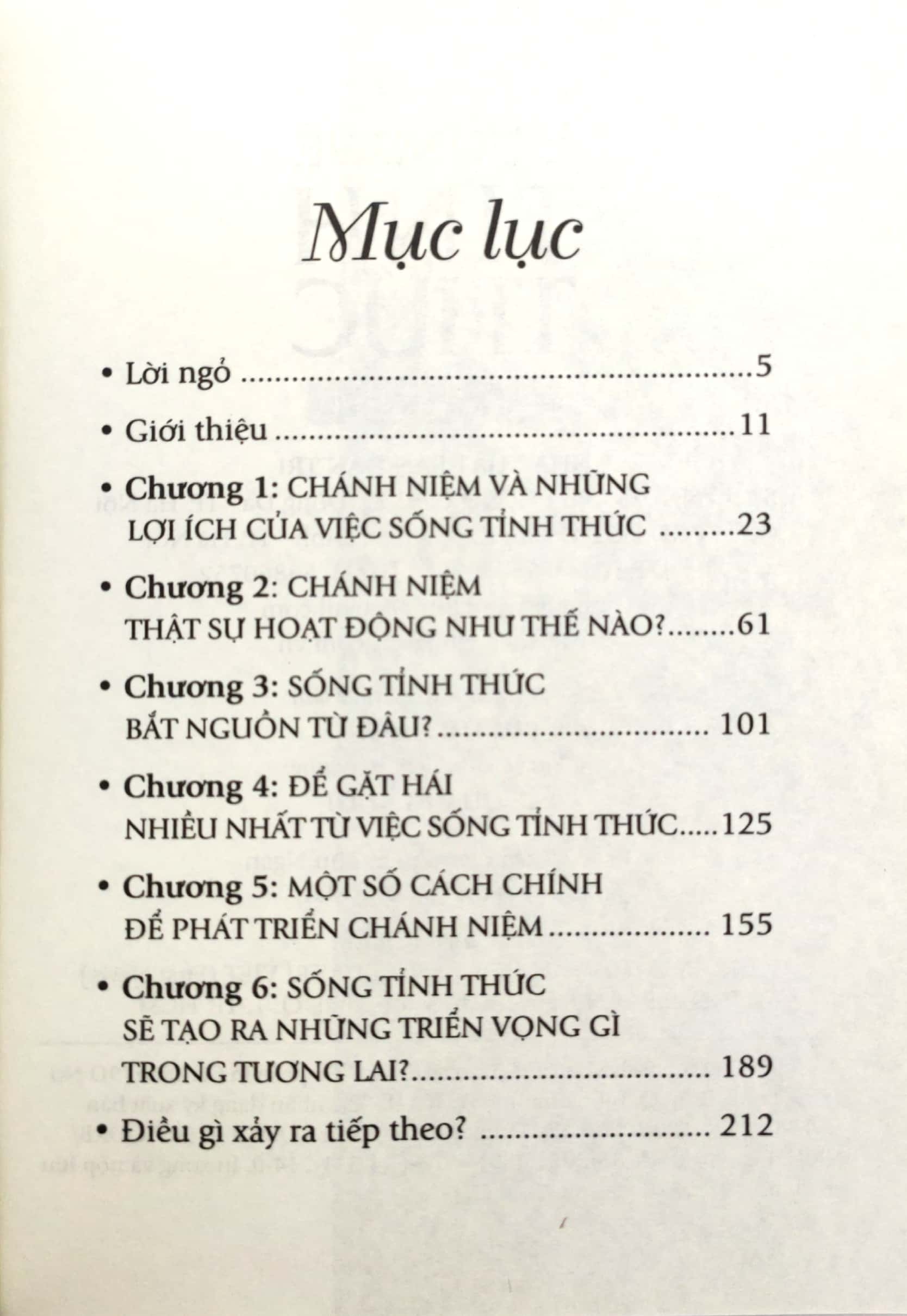 đường về tỉnh thức - what is mindfulness? - Ảnh 3