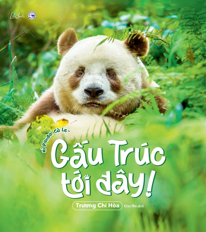 Gấu Trúc Tới Đây! - Hi Panda! Cò Le~ - Ảnh 2