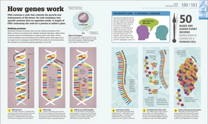 how science works - Ảnh 7