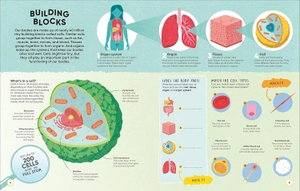 human body - over 100 brain-boosting activities that make learning easy and fun - Ảnh 3