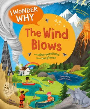 i wonder why the wind blows - Ảnh 2