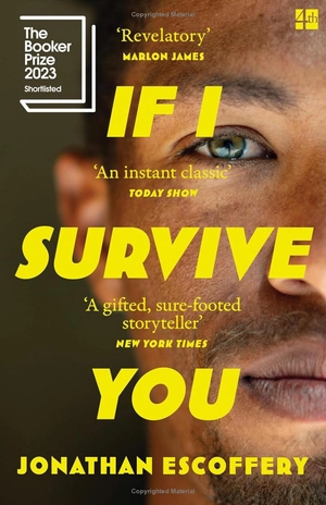 if i survive you - Ảnh 2