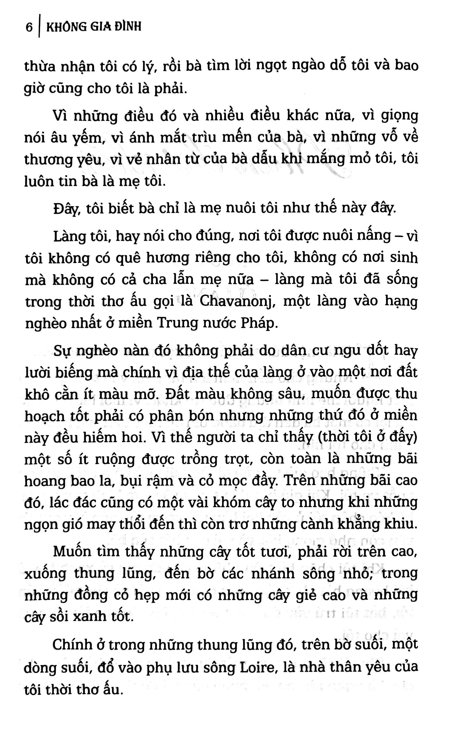 không gia đình - bìa cứng (tái bản 2025) - Ảnh 5