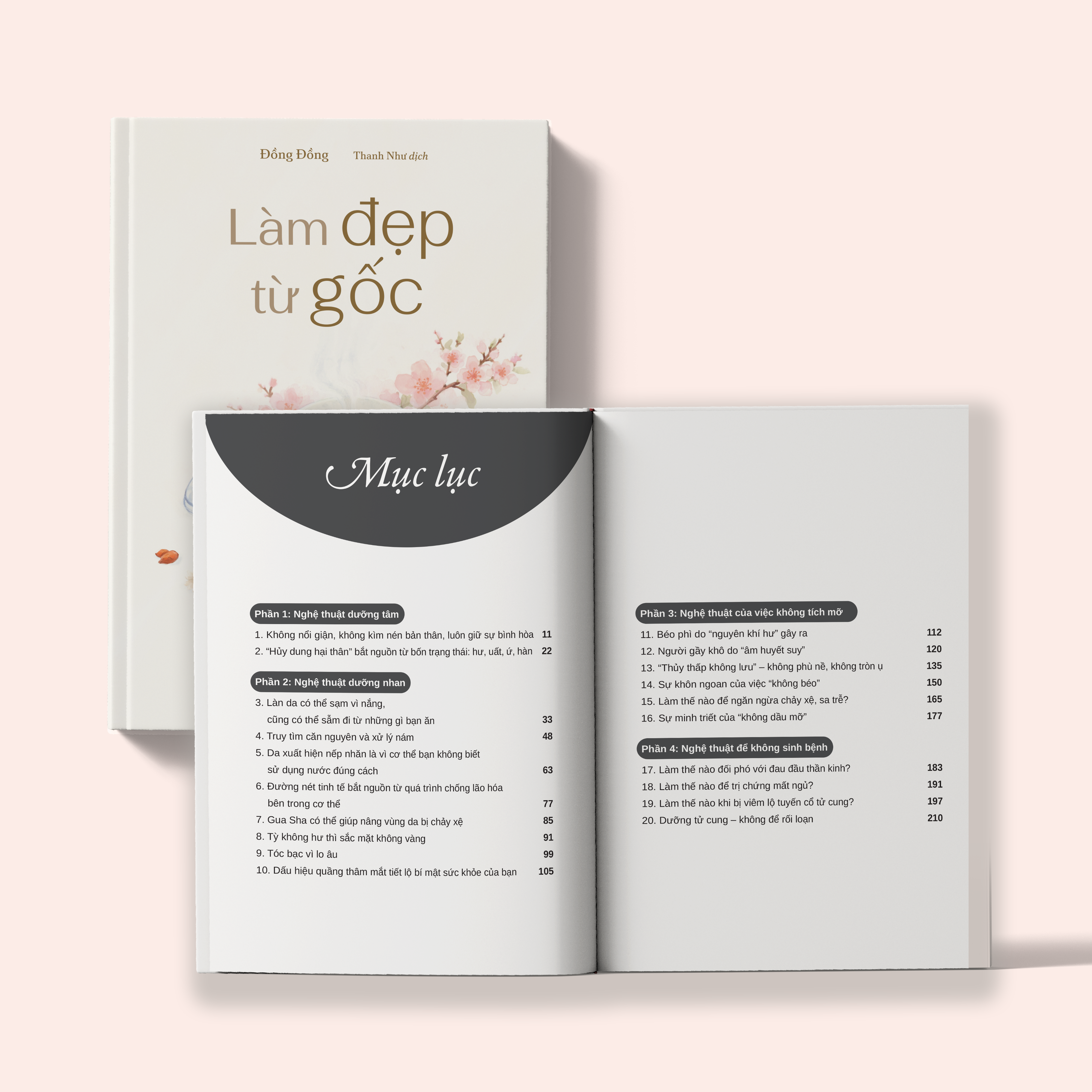 Làm Đẹp Từ Gốc - Bí Quyết Dưỡng Nhan Đông Y Cho Phụ Nữ Hiện Đại - Ảnh 5