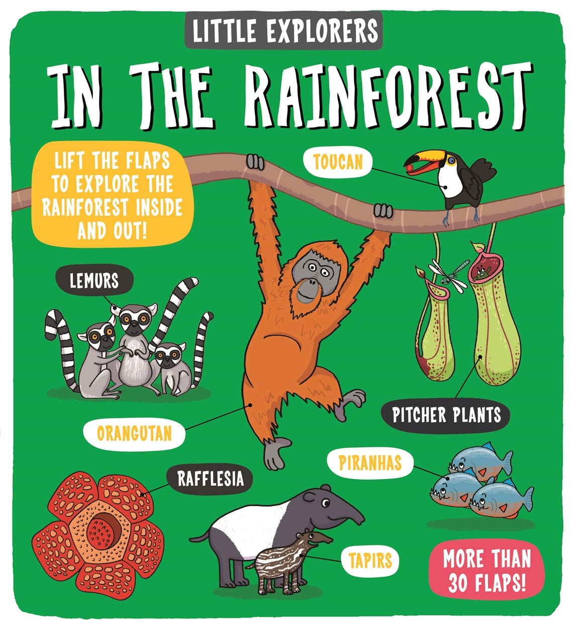 little explorers - in the rainfore - Ảnh 2