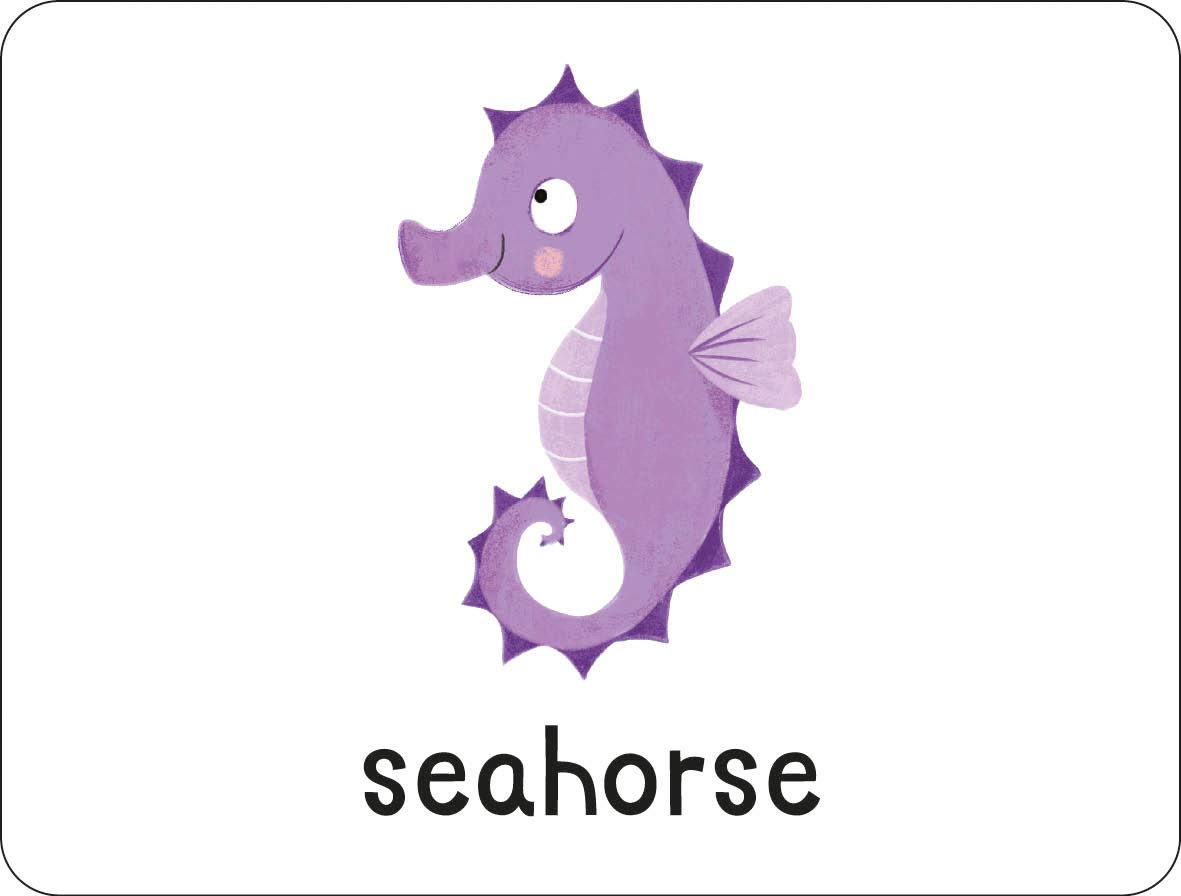 lots to spot flashcards - under the sea! - Ảnh 7