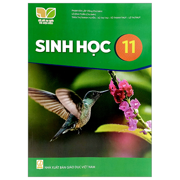 Mi Thuat 11 - Thiet Ke Thoi Trang (Ket Noi) (Chuan) - Ảnh 51