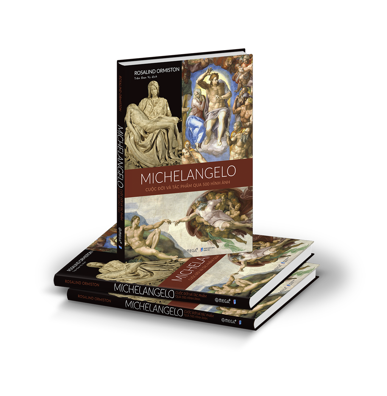 michelangelo - cuộc đời và tác phẩm qua 500 hình ảnh - Ảnh 2