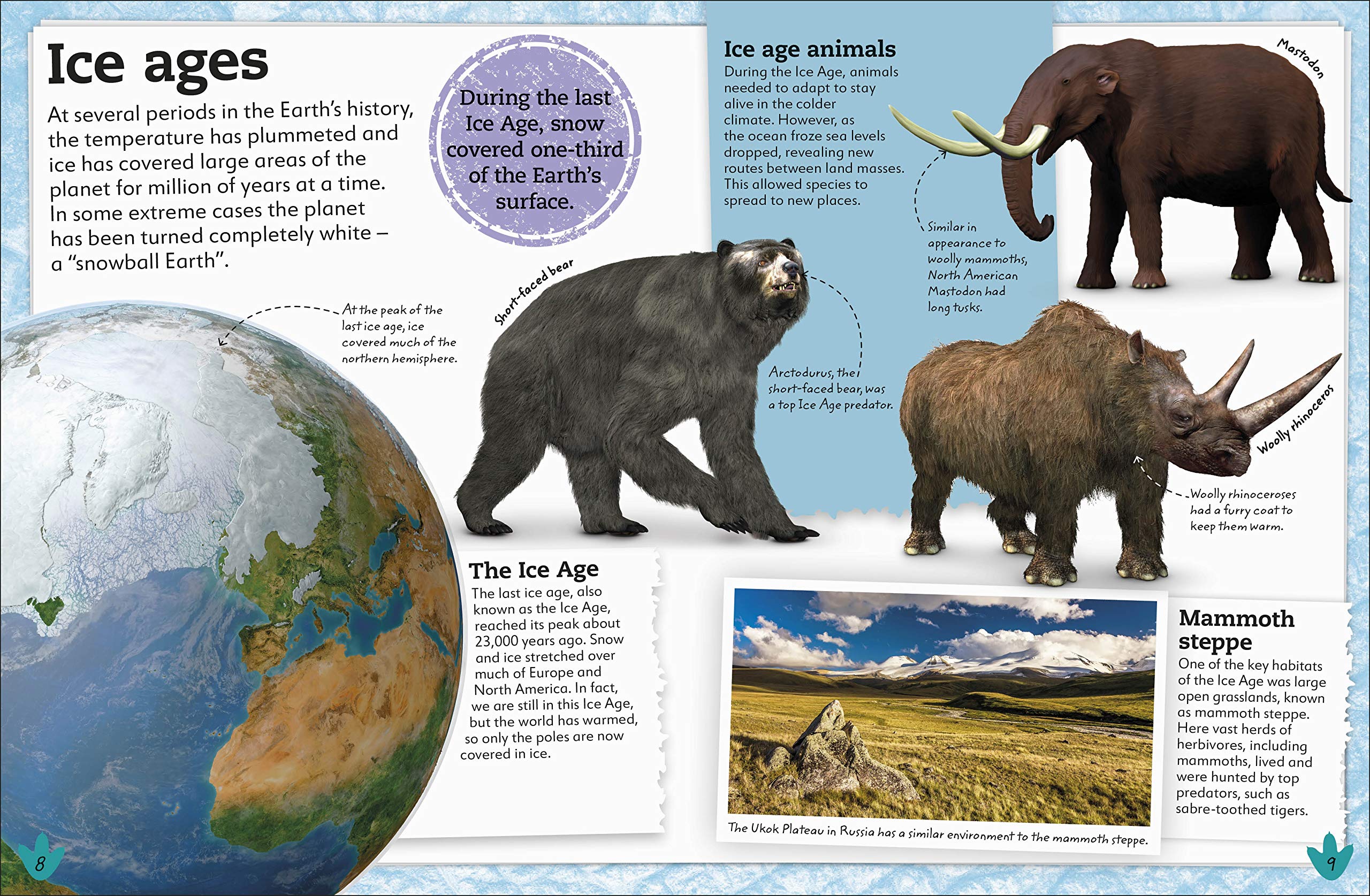 my book of dinosaurs and prehistoric life: animals and plants to amaze, surprise, and astonish! - Ảnh 3