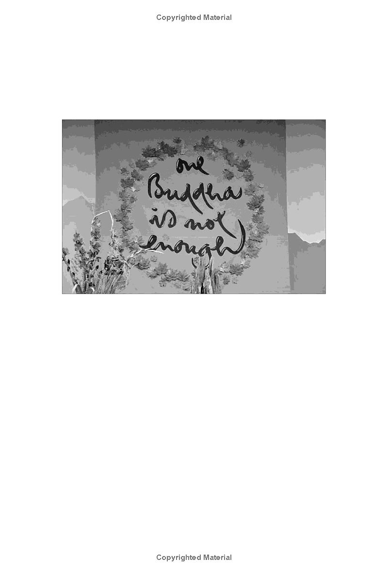 one buddha is not enough: a story of collective awakening - Ảnh 8