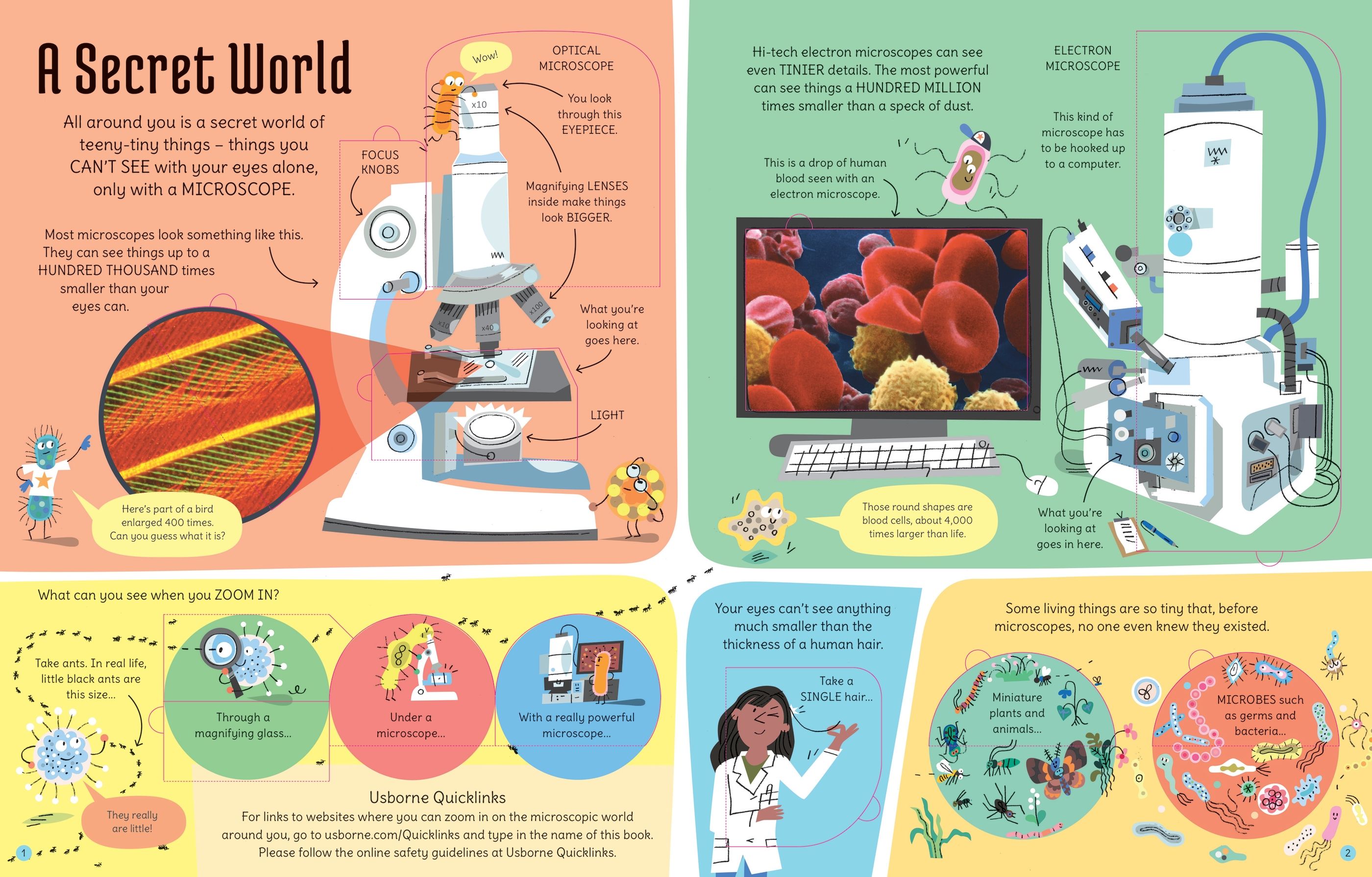 see inside the microscopic world - Ảnh 5