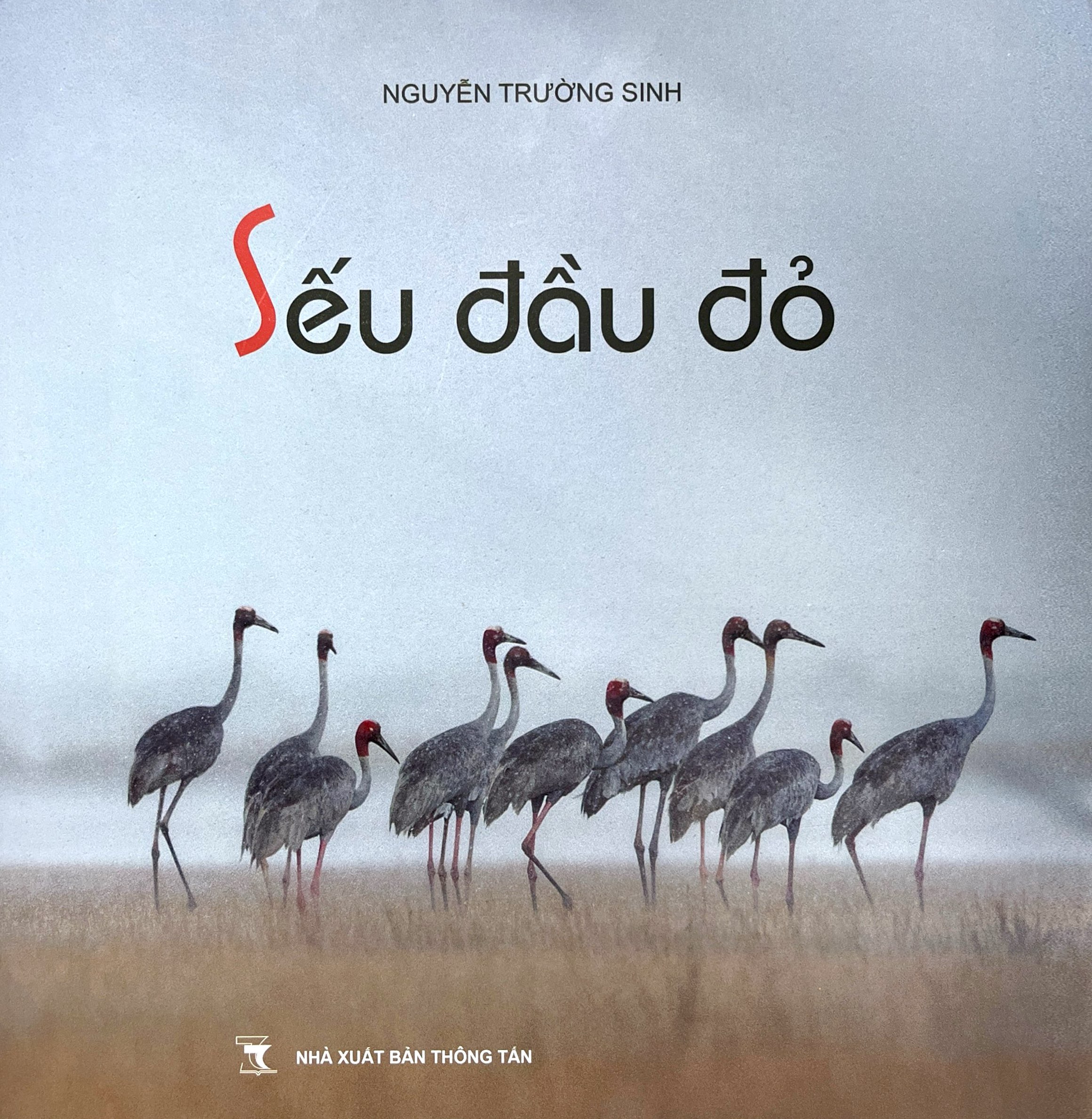 Sếu Đầu Đỏ - Bìa Cứng - Ảnh 2