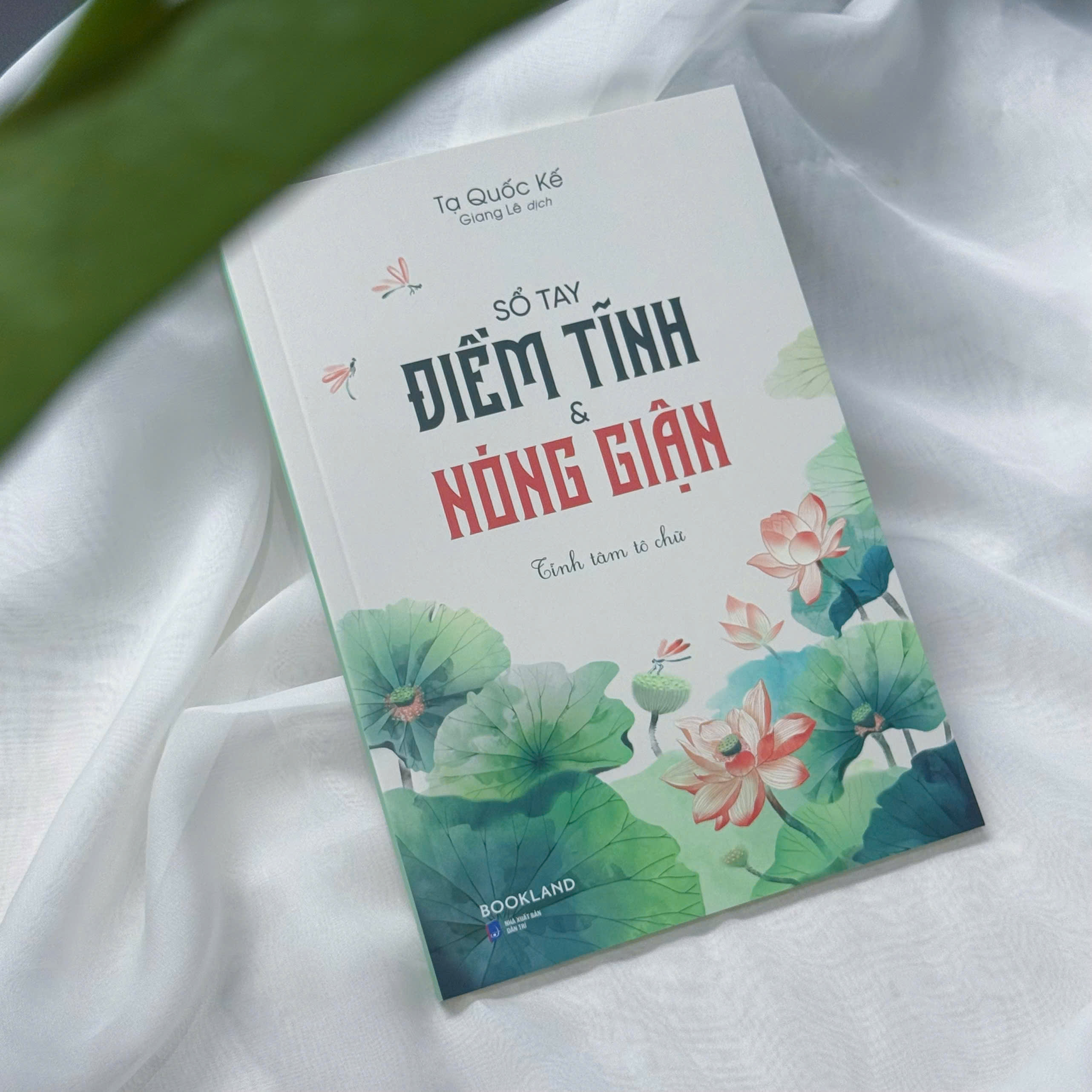 Sổ Tay Điềm Tĩnh Và Nóng Giận - Tĩnh Tâm Tô Chữ - Ảnh 5
