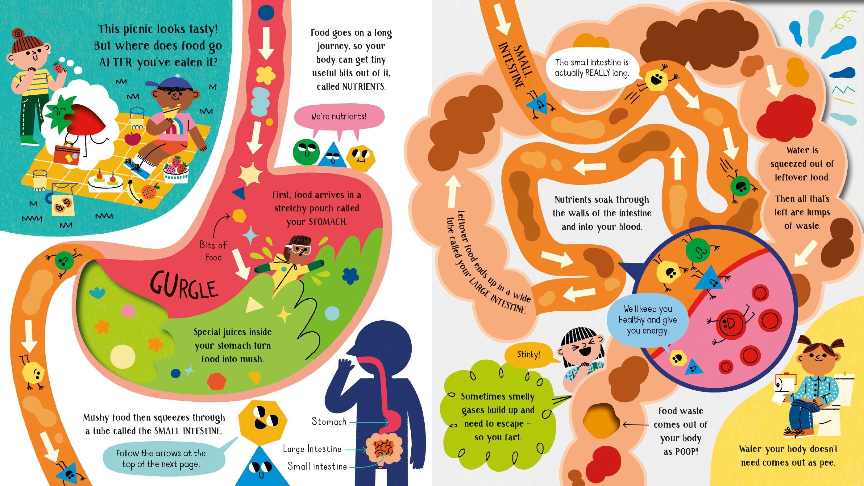 step inside science - your body - Ảnh 5