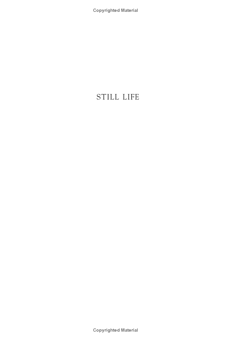 still life - Ảnh 3