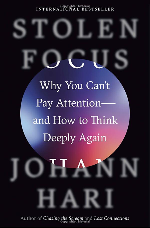 stolen focus: why you can't pay attention - Ảnh 2