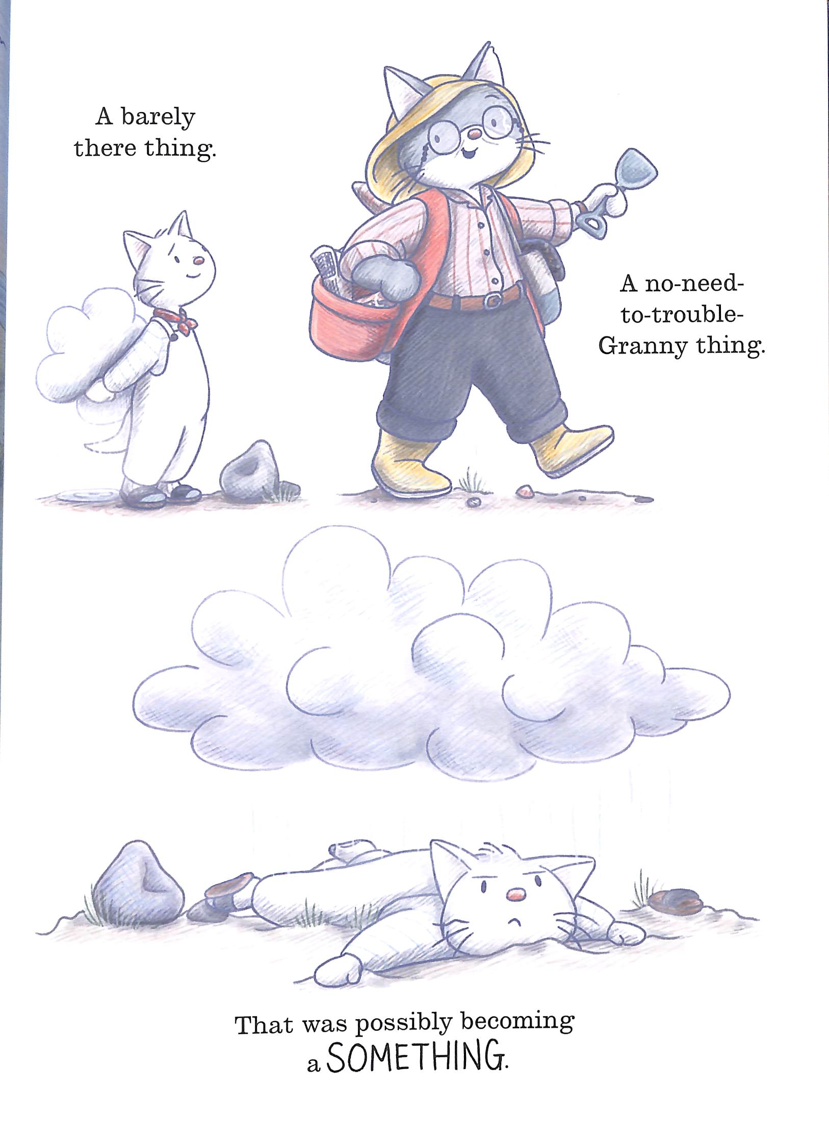 storm-cat - Ảnh 6