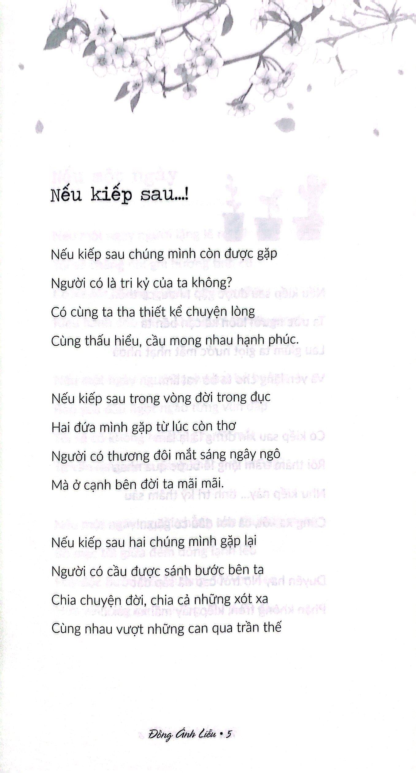 tâm bình vạn sự an - Ảnh 3