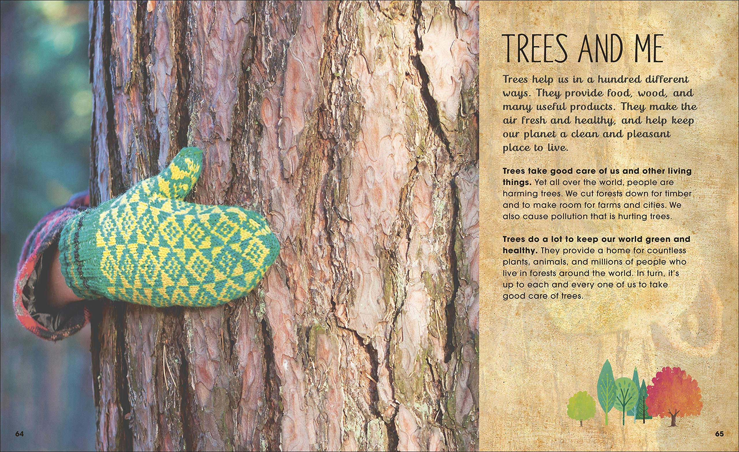 the magic and mystery of trees - Ảnh 7